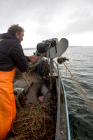 Fisketur i Isefjorden - stenbider