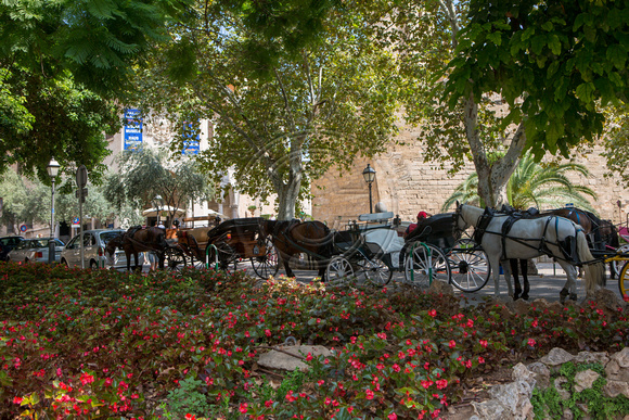 Hestevogne til rundture i Palma de Mallorca
