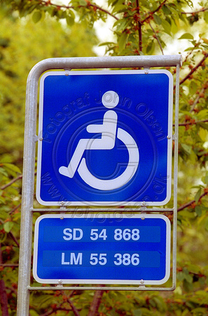 Handicappede 15