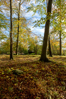 JO_00627_9811
