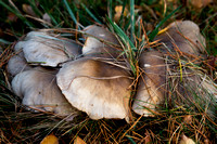 JO_00237_3345
