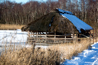JO_01684_8559