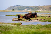 JO_00001_2245