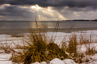 JO_01683_8439