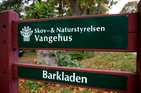 Annebjerg Skov i Odsherred