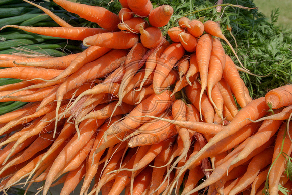 Grønt gulerødder 4571