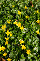 JO_01262_1139